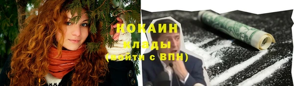молекула духа Вязьма