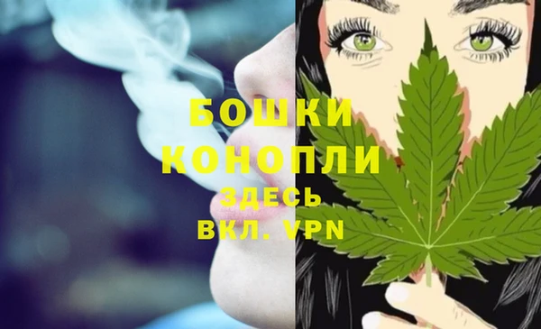 молекула духа Вязьма