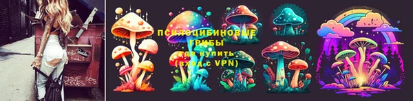 ешки Вяземский